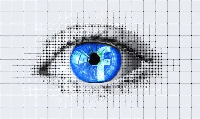 eye with facebook logo