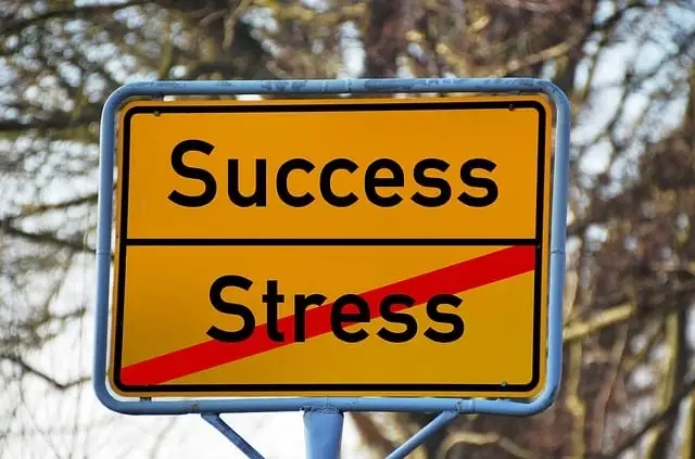 less stress more success